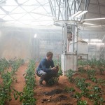 the martian garden potatoes