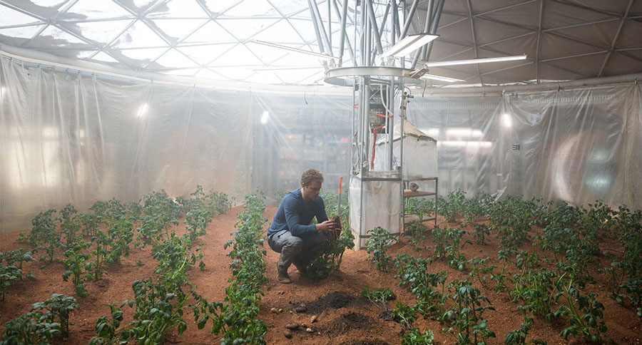 the martian garden potatoes